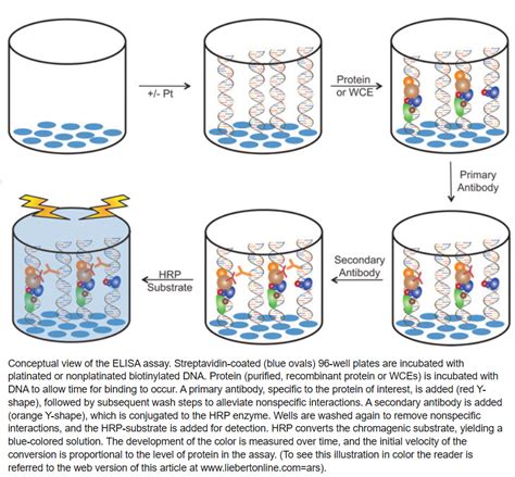 Overview of ELISA .